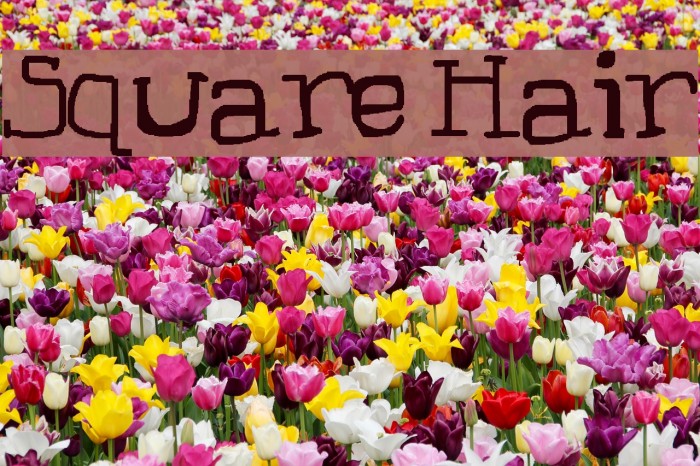 Square Hair Example 3