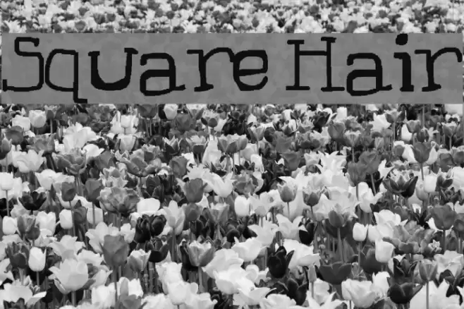 Square Hair Font examples