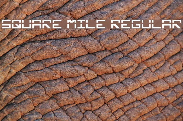 Square Mile Regular Font examples