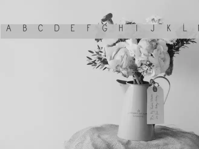Square Monogram Frames Demo Font examples