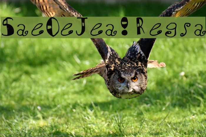 Square One Jenna!Regular Example 2