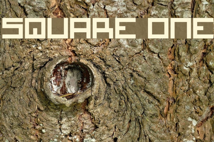 Square One Font examples