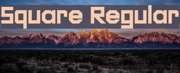 Square Regular Font examples