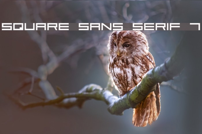 Square Sans Serif 7 Font examples