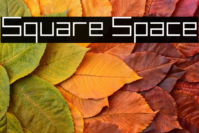Square Space Example 1