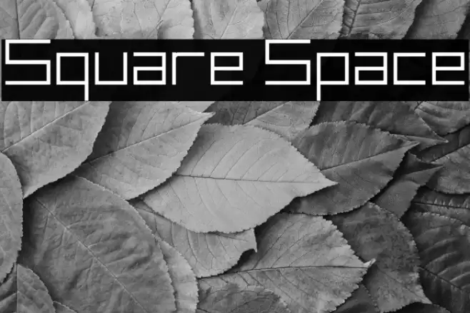 Square Space フォント examples