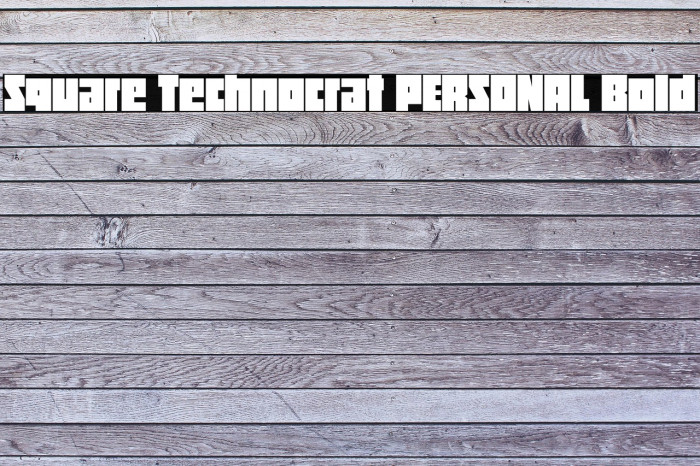 Square Technocrat PERSONAL Bold Example 2