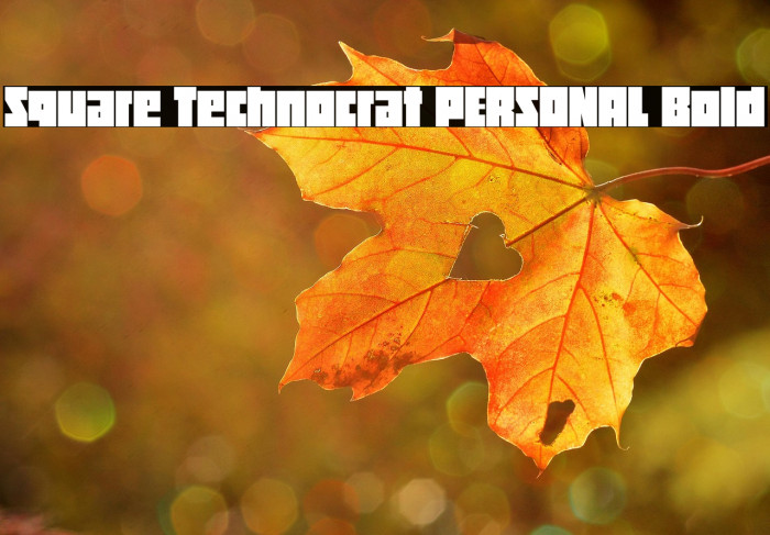 Square Technocrat PERSONAL Bold Example 3