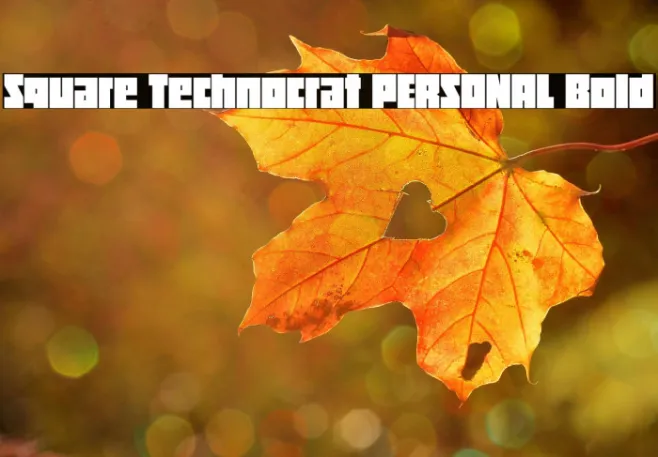 Square Technocrat PERSONAL Bold Example 3