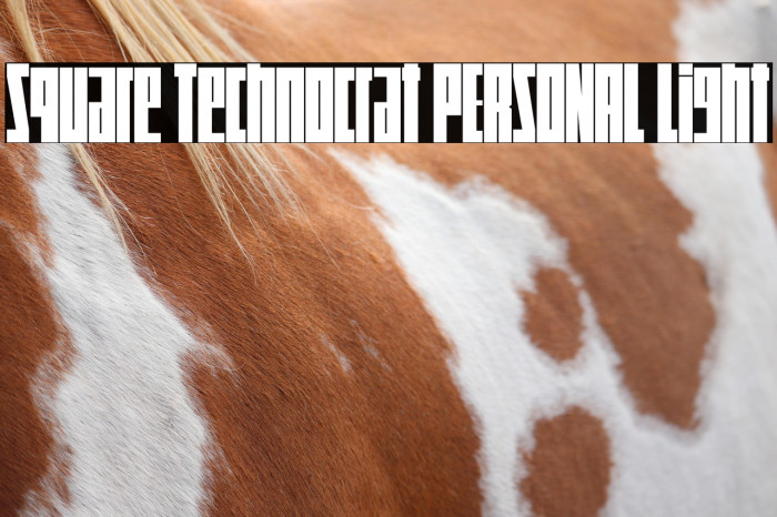Square Technocrat PERSONAL Light Example 1