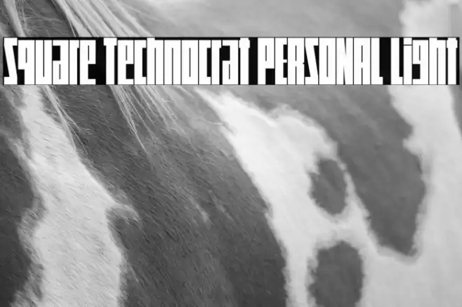 Square Technocrat PERSONAL Light Font examples