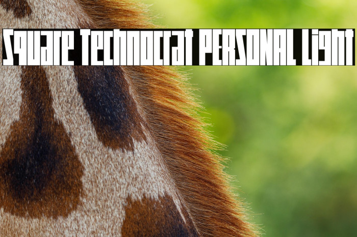 Square Technocrat PERSONAL Light Example 2