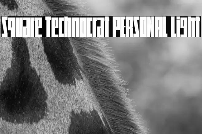 Square Technocrat PERSONAL Light Font examples