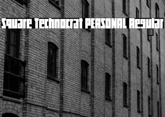Square Technocrat PERSONAL Regular Example 2