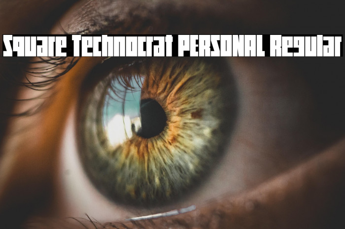 Square Technocrat PERSONAL Regular Example 3