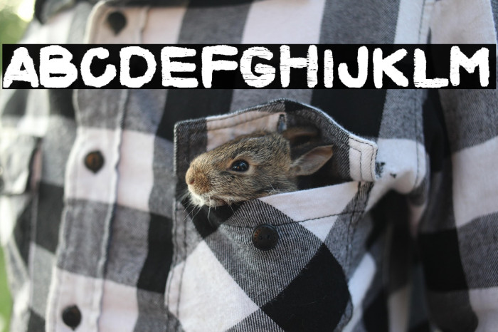 Square Thief Example 1