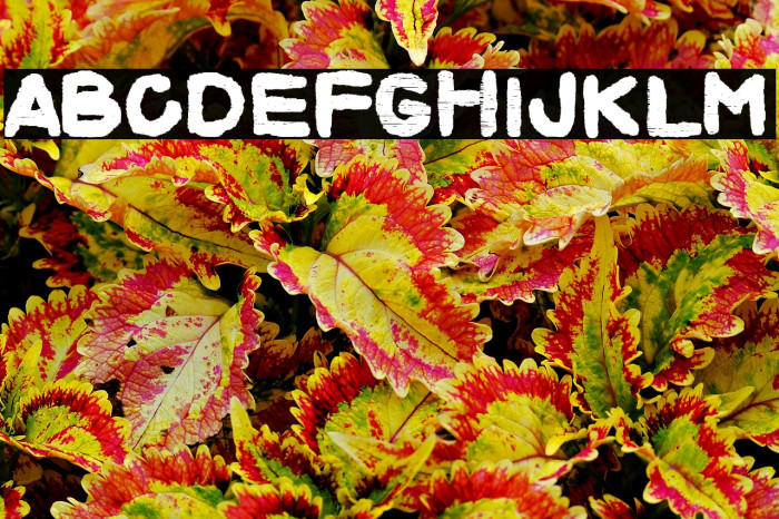 Square Thief Example 2