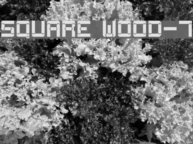Square Wood-7 Font examples