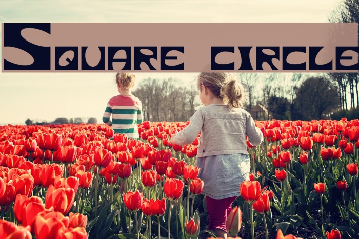 Square circle フォント examples