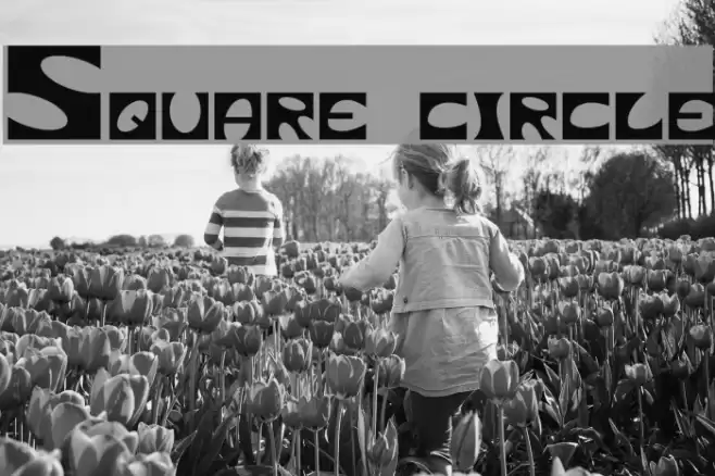 Square circle フォント examples