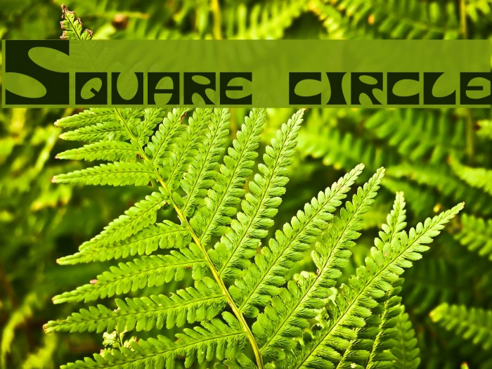 Square circle フォント examples