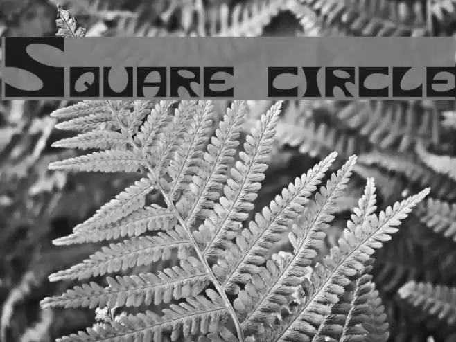 Square circle フォント examples