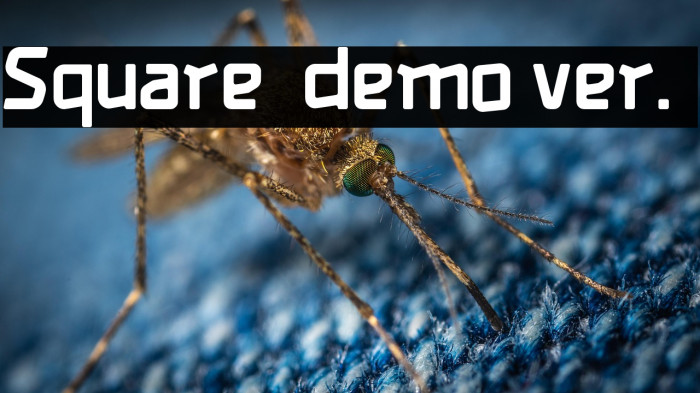 Square [demo ver.] Example 2