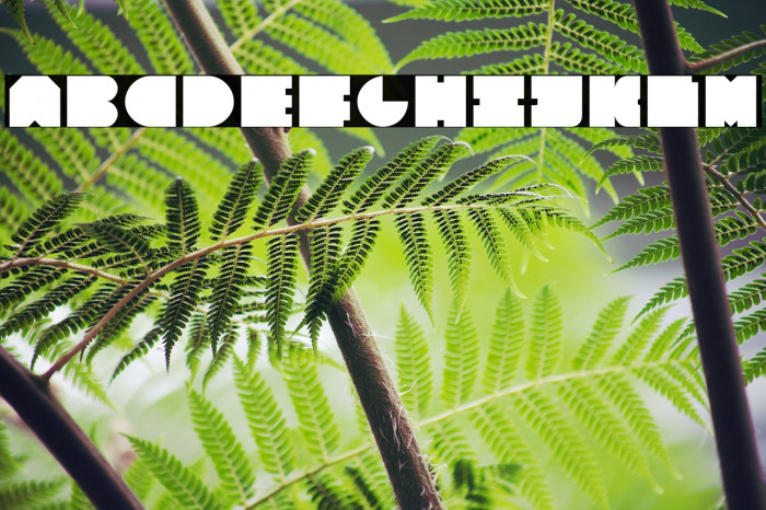Square80 Font examples