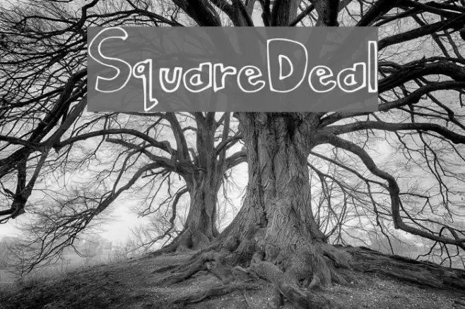 SquareDeal Fuentes examples
