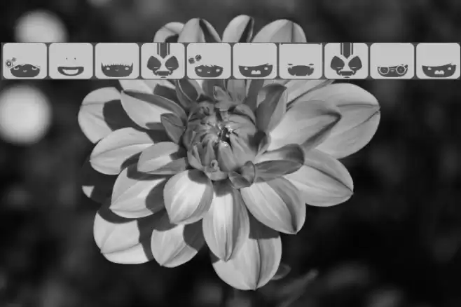 SquareFace Font examples