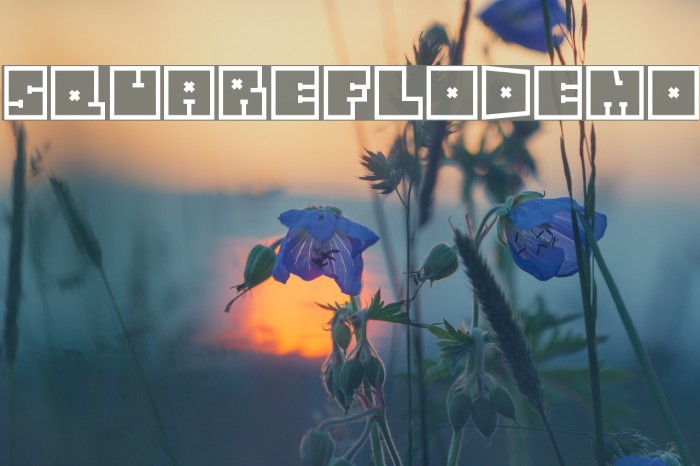 SquareFloDEMO Font examples