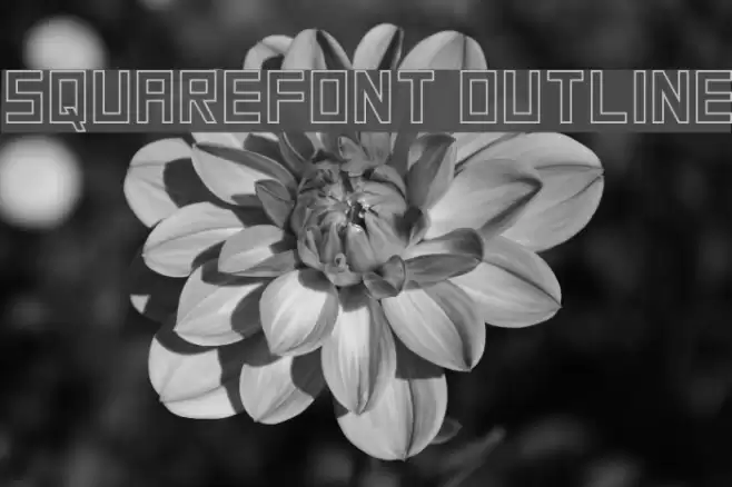 SquareFont Outline Font examples