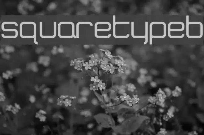 SquareTypeB Font examples
