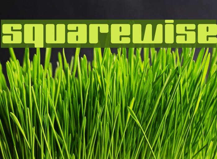 SquareWise Font examples