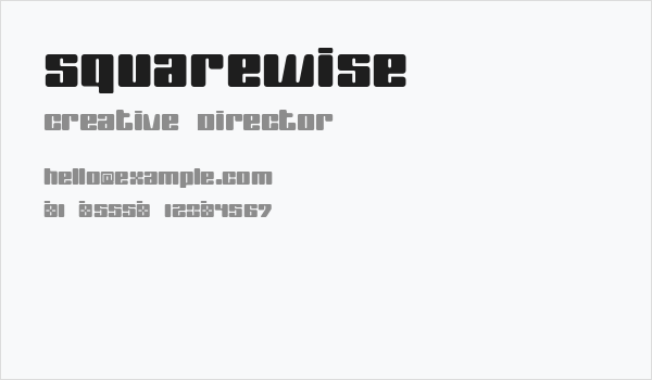 SquareWise Business Card