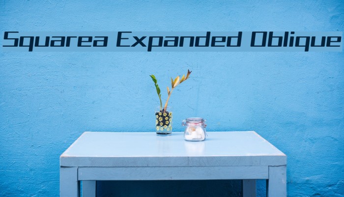 Squarea Expanded Oblique Font examples