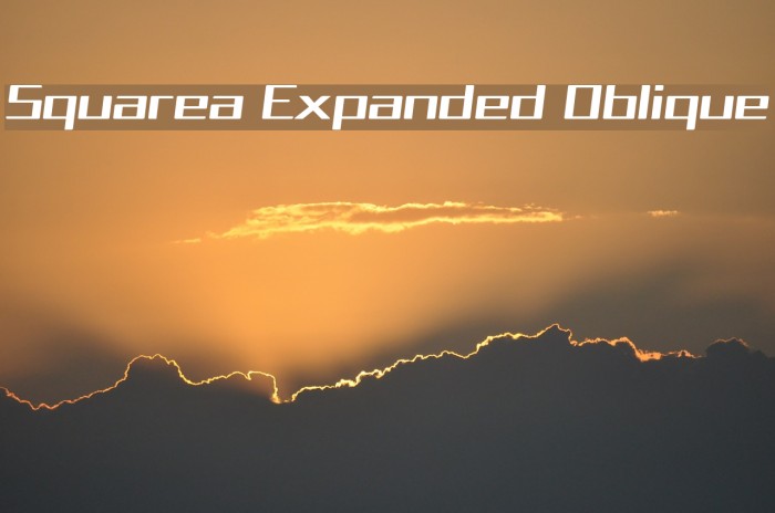 Squarea Expanded Oblique Font examples