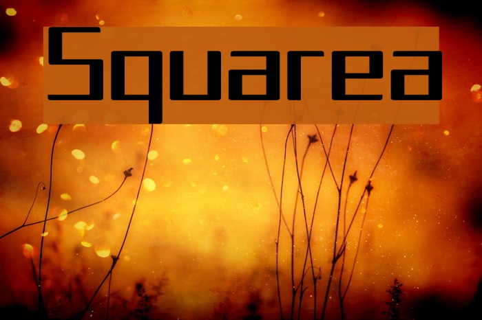 Squarea Font examples