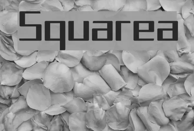 Squarea Font examples