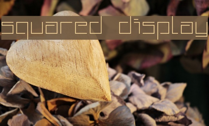 Squared Display Font examples