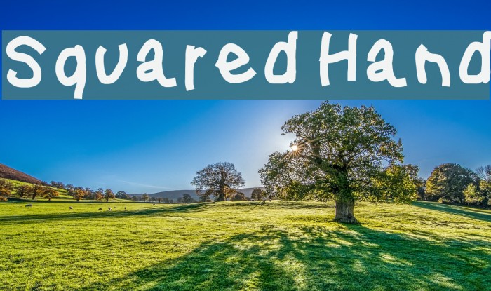 Squared Hand Font examples