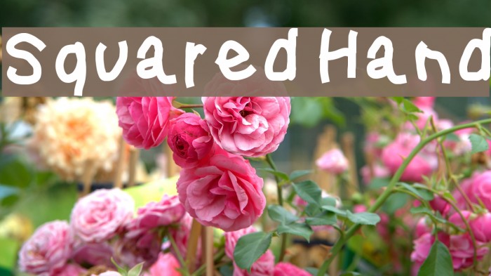 Squared Hand Font examples
