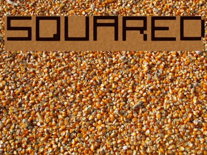Squared Example 1