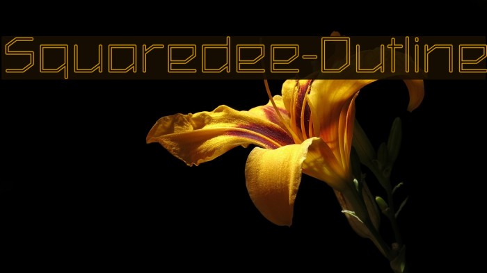 Squaredee-Outline Example 3