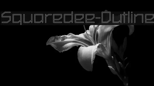 Squaredee-Outline Font examples