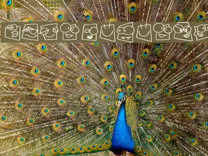 Squareheads Example 2