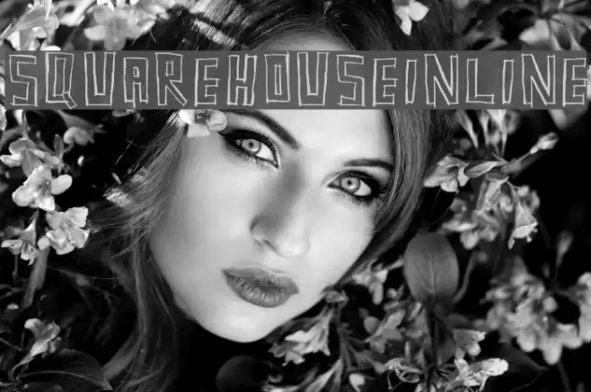 SquarehouseInline Schriftart examples