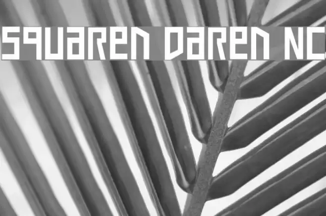 Squaren Daren NC Font examples