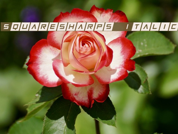 Squaresharps Italic Font examples