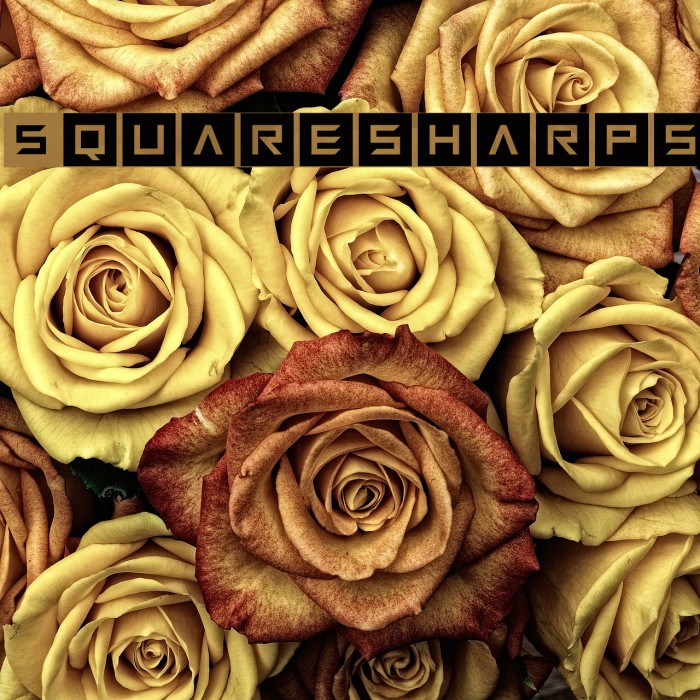 Squaresharps Example 3